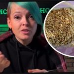 Kuidas valida siidritaimi ja üllatada naabreid saagiga: aednik andis tõhusaid näpunäiteid Kuidas valida siidritaimi ja üllatada naabreid saagiga: aednik andis tõhusaid