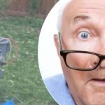 Kummaline leid puu läheduses jättis naabri mõistatuslikuks: millist saladust ta peidab? Kummaline leid puu läheduses jättis naabri mõistatuslikuks: millist saladust ta