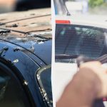 Linnud ei paskenda enam autosid: seda on vaja teha Linnud ei paskenda enam autosid: seda on vaja teha