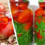 Marineeritud tomateid "Vintage" ei saa eristada tünni tomatitest: me sööme neid koos soolveega. Marineeritud tomateid “Vintage” ei saa eristada tünni tomatitest: me sööme