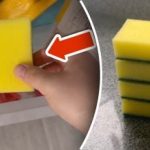 Miks panna käsn sügavkülma: lihtne trikk kõrvaldab suure probleemi Miks panna käsn sügavkülma: lihtne trikk kõrvaldab suure probleemi